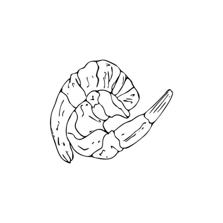 Hand-drawn shrimps isolated on a white background. Black outline. Doodle outline vector illustration for restaurant, cafe and your design menu. Vector illustration.のイラスト素材