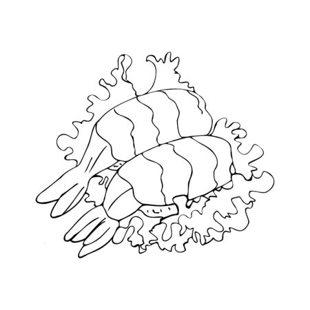 Hand-drawn two prawns on lettuce leaves isolated on a white background. Black outline. Doodle outline vector illustration for restaurant, cafe and your design menu. Vector illustration.のイラスト素材