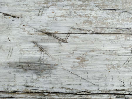 Texture of old white wood.の写真素材