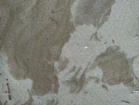 Wet and dry sand on the beach.の写真素材