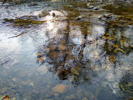 Stream close-up illuminated by the sun. Pebbles in a stream of water. Natural autumn backgroundの写真素材