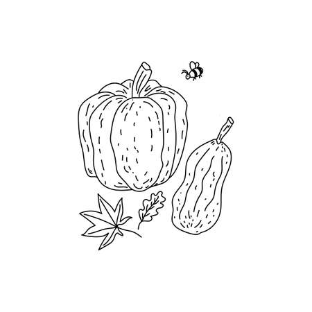Pumpkins, autumn leaves, and a flying bee. Vector set. Illustration in Doodle style. Symbols of a cozy autumn and winter. Black outline isolated on a white backgroundのイラスト素材
