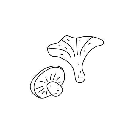 Set of two mushrooms. Simple vector illustration in a hand-drawn style isolated on a white background. Black outlineのイラスト素材