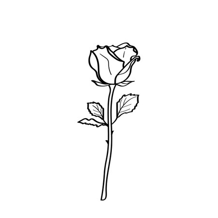 A hand-drawn Rose. Rose flower doodle illustration. Vector design element for printing, decoration, textiles, greeting card design. Black outline isolated on a white backgroundのイラスト素材