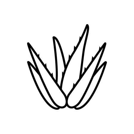 Aloe vera line icon. Design for packaging moisturizer or cosmetic cream, organic food. Black outline isolated on a white background. Flat vector iconのイラスト素材