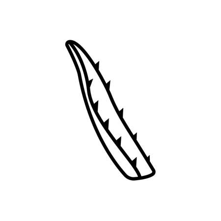 Aloe vera line icon. Aloe vera tropical succulent leaf. Design for packaging moisturizer or cosmetic cream, organic food. Black outline isolated on a white background. Flat vector iconのイラスト素材