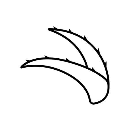 Aloe vera line icon. Leaves of tropical succulent aloe vera. Design for packaging moisturizer or cosmetic cream, organic food. Black outline isolated on a white background. Flat vector iconのイラスト素材