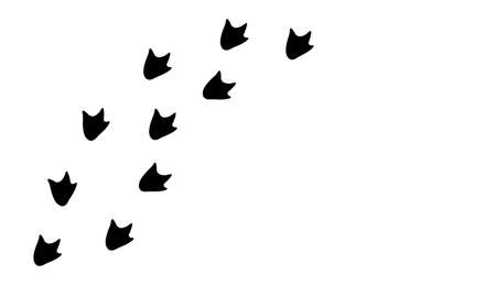 Dinosaur footprints. Dino trail black silhouette isolated on white background. Vectorのイラスト素材