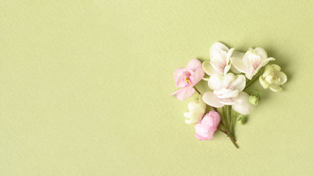 spring banner. White Flowers bouquet on light green background. Birthday, Mother's Day greeting card. copyspace.の写真素材