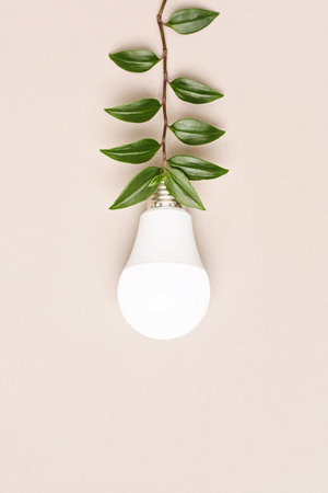 Light bulb powered by green branch cable, Environment, Green energy concept.の写真素材