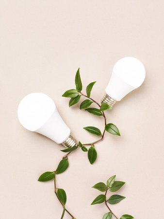 Eco Light bulbs on green branch cable, Environment, Green energy concept.の写真素材