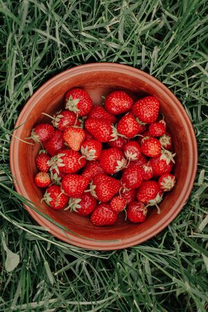 Strawberries. The bunch of ripe strawberries in a wooden bowl on a garden background. Summer conceptの写真素材