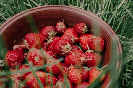 Strawberries. The bunch of ripe strawberries in a wooden bowl on a garden background. Summer conceptの写真素材