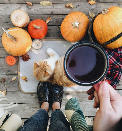 Pumpkin, tea and autumn leaves. Autumn still life with pumpkin, cat and cup of tea on the wooden background. Thanksgiving, autumn season. Cat sitting near pumpkin. Halloween mood.の写真素材