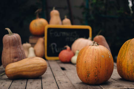 Pumpkins on the farmers market. Orange Halloween pumpkins on a wooden background, holiday decoration. Halloween mood.の写真素材