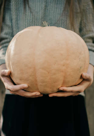 The girl with a pumpkin. Halloween holidays concept. Pumpkins. Halloween background. Autumn mood. Halloween mood.の写真素材