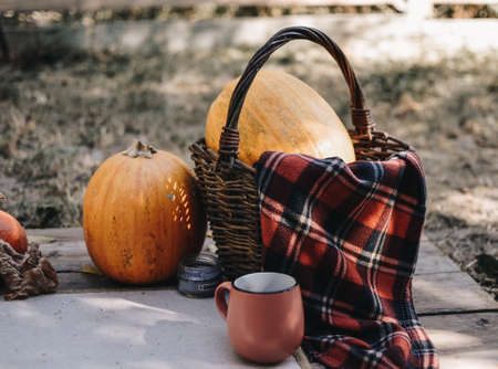 Orange Halloween pumpkins on a wooden background, holiday decoration. Halloween mood. Thanksgiving, autumn season.の写真素材