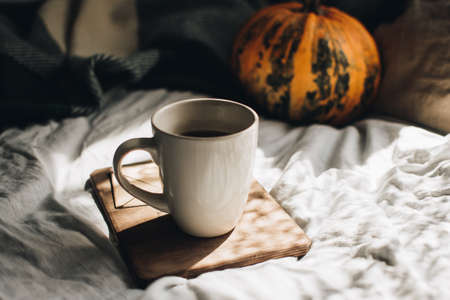 Fall styled composition. Autumn breakfast still life. Morning concept. Breakfast in bed. Cozy autumn homely scene with pumpkins. Flat lay. Home decor.の写真素材