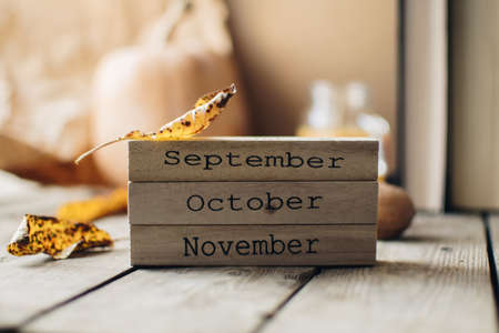 Wooden blocks against a rustic wood background with pumpkins and autumn leaves. Background with candle and pumpkin. Autumn background. Autumn months.の写真素材