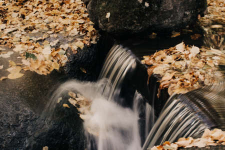Waterfall stream flowing in autumn forest. Autumn waterfall poster. Autumn forest waterfall stream viewの写真素材