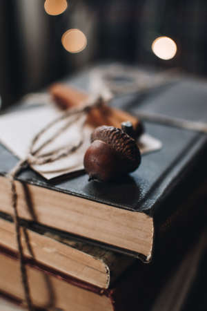 Scandinavian hygge styled Christmas composition. Cozy winter homely scene with books, cinnamon sticks and acorn. Santa Claus working place. Flatlay. Home decor.の写真素材