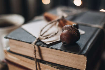 Scandinavian hygge styled Christmas composition. Cozy winter homely scene with books, cinnamon sticks and acorn. Santa Claus working place. Flatlay. Home decor.の写真素材