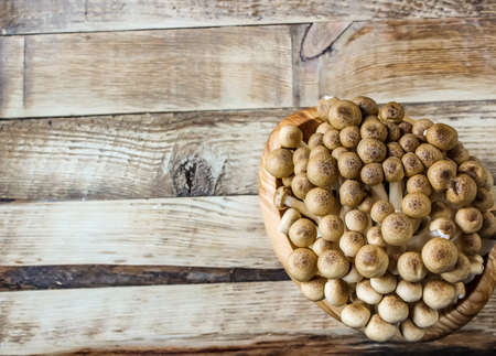 fresh brown shimeji mushroom, beech mushroom or edible mushroom in wooden bowl isolated on wooden backgroundの写真素材