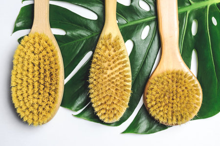 Wooden soft body brushes on white  with monstera leaf.