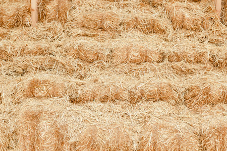 Dry straw texture background, vintage style for design.