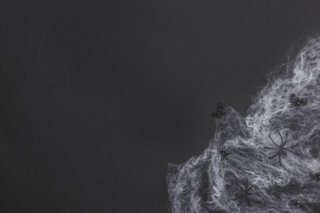 Traditional halloween background with spiders. Place for text. Black spiders, white web on black background. Top view. Flat layの写真素材