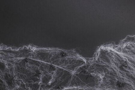 Traditional halloween background with spiders. Place for text. Black spiders, white web on black background. Top view. Flat layの写真素材
