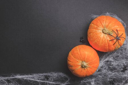Traditional halloween background with spiders. Place for text. Black spiders, white web and orange pumpkin on black paper background. Top view. Flat layの写真素材