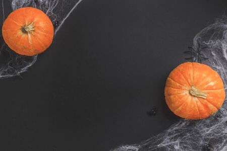 Traditional halloween background with spiders. Place for text. Black spiders, white web and orange pumpkin on black paper background. Top view. Flat layの写真素材