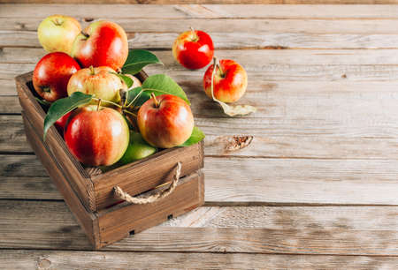 Fresh organic green and red apples in the wooden box. On rustic wooden background.の写真素材
