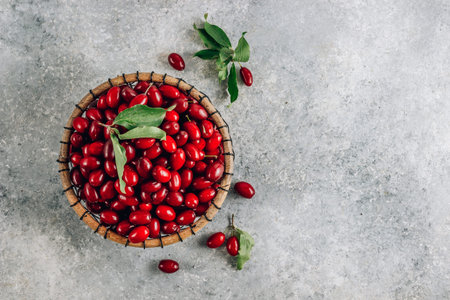 Dogwood berry in a basket. Ripe red cornel on light gray background.