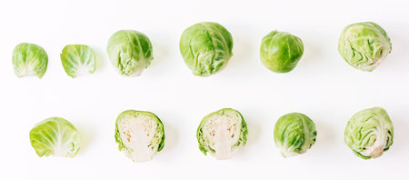 Fresh green brussel sprouts vegetable on white backgroundの写真素材