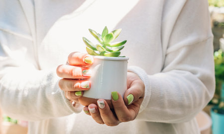Female hands with green and white botanical manicure holding a succulent in a white flower pot.の写真素材