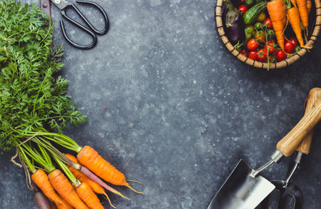 Fresh Harvest Delights. Flat lay composition of carrots, tomatoes, cucumbers, eggplantsの写真素材
