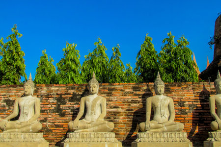 Buddha statue in Ayutthaya Historical Park, Thailandの写真素材