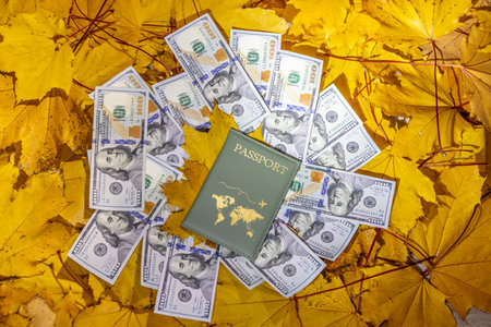 passport and money on the background of yellow leaves. travel conceptの写真素材