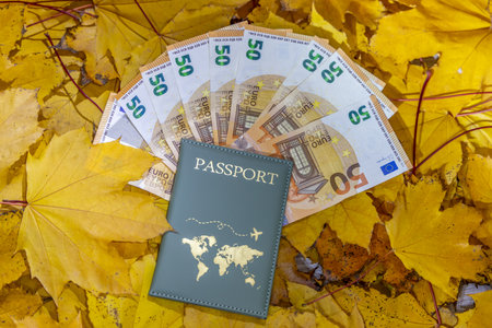 passport and euro money on the autumn leaves background. travel conceptの写真素材