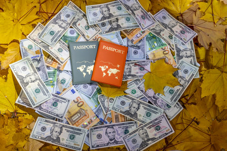 passport and dollars on the background of the autumn leaves. travel conceptの写真素材