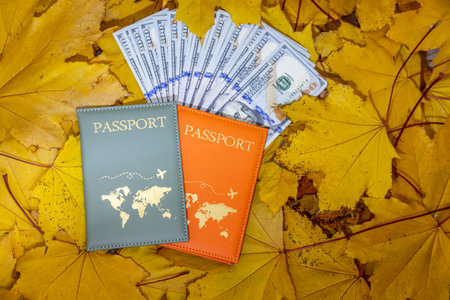 passport and passport on autumn leaves background. travel conceptの写真素材