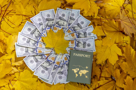 passport and dollars on the background of autumn leaves. travel conceptの写真素材