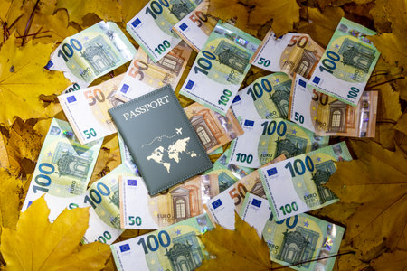 passport with euro banknotes on the background of the autumn leavesの写真素材