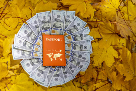 passport and dollars on the background of autumn leaves. travel conceptの写真素材