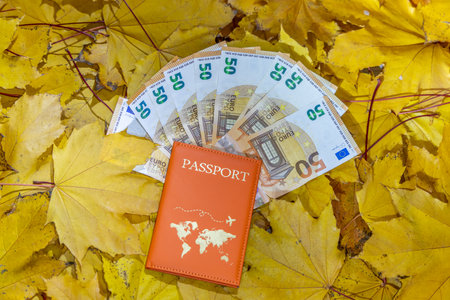 passport with euro banknotes on a background of yellow autumn leavesの写真素材