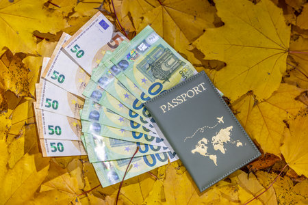 passport and euro banknotes on autumn leaves background. Travel conceptの写真素材