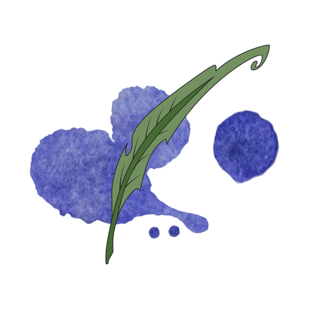Bright watercolor feather with water color splashes.のイラスト素材