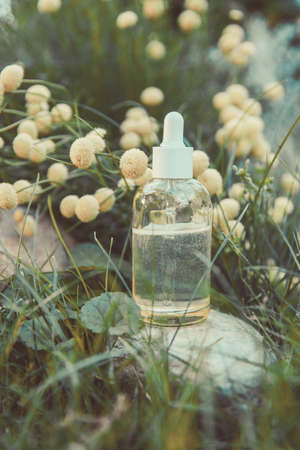 Cosmetic bottle with natural plants. Environmentally friendly productの写真素材